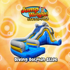 Diving Dolphin Slide